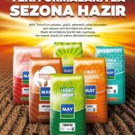 Mısır tohumu