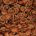 fındık kabugu satıs